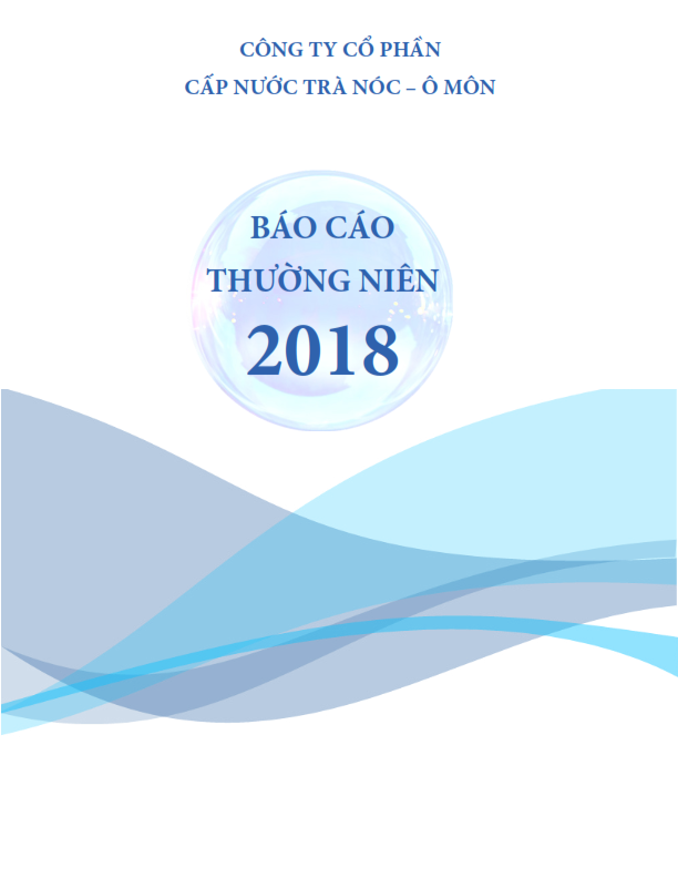 TOW Bao cao thuong nien 2018 final 001